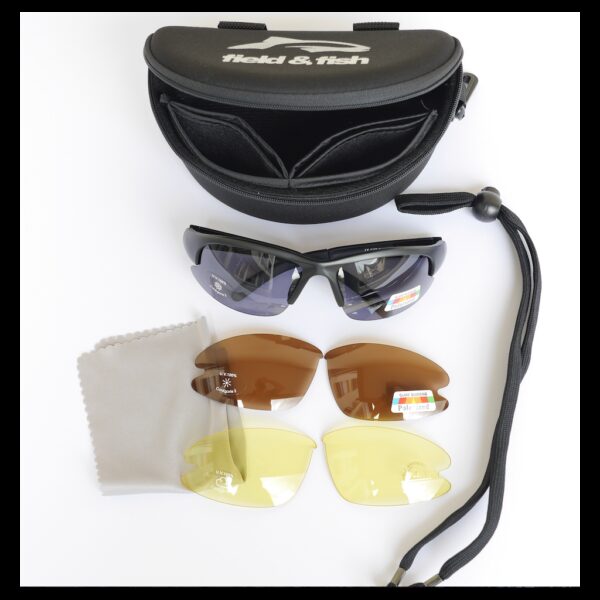 Polarized glasses for fishing