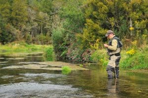 Waders field and fish en action