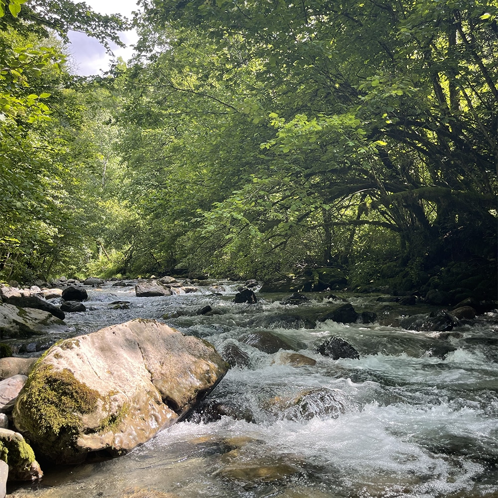 Paysage pêche de la truite en été
